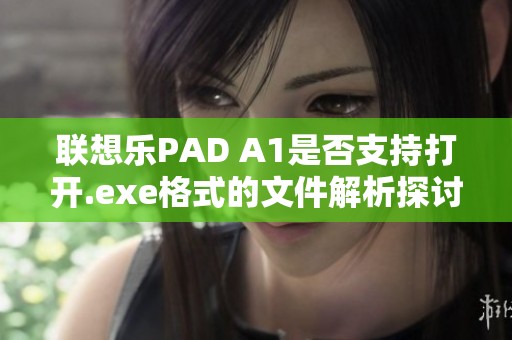 联想乐PAD A1是否支持打开.exe格式的文件解析探讨