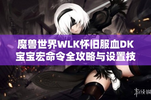 魔兽世界WLK怀旧服血DK宝宝宏命令全攻略与设置技巧