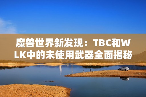 魔兽世界新发现：TBC和WLK中的未使用武器全面揭秘！