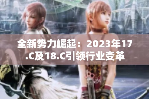 全新势力崛起：2023年17.C及18.C引领行业变革