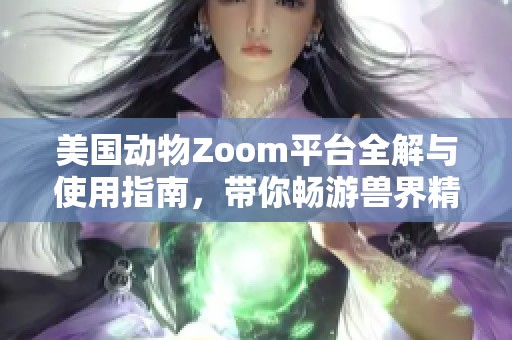 美国动物Zoom平台全解与使用指南，带你畅游兽界精彩瞬间