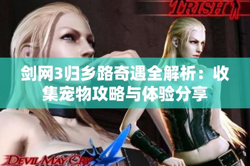 剑网3归乡路奇遇全解析：收集宠物攻略与体验分享