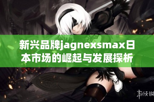 新兴品牌jagnexsmax日本市场的崛起与发展探析