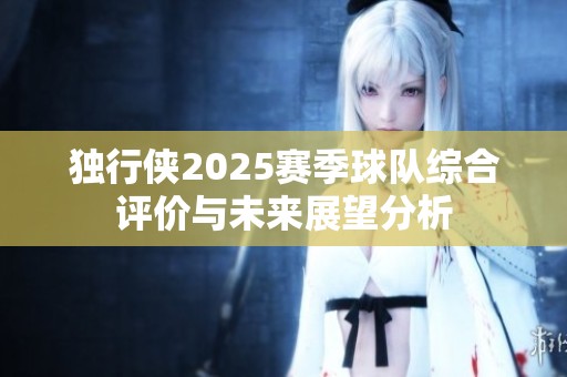 独行侠2025赛季球队综合评价与未来展望分析